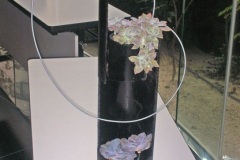2006_003