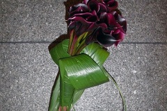 2006_006