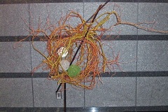 2006_007