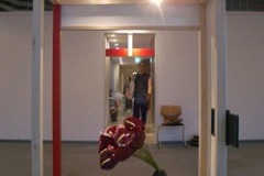 2007_003
