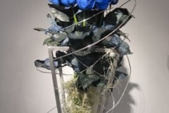 2008-2_002