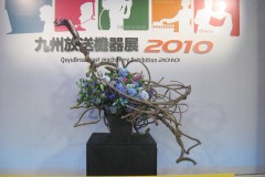 2010-2_008