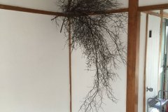 2015_001