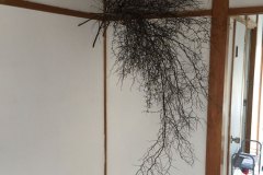 2015_002