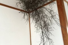 2015_003