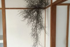 2015_004