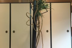 2016_001